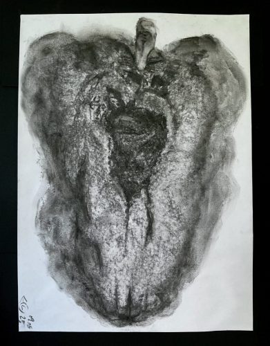 Poivron 2 - 090625 - fusain sur papier - 43,8 x 32 cm