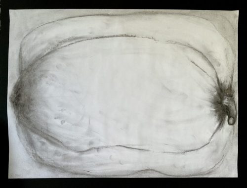 Poivron 4 - 090625 - fusain sur papier - 32 x 43,8 cm