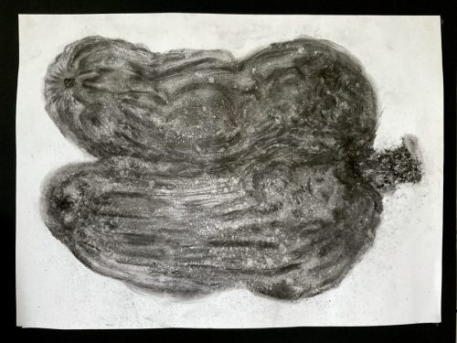 Poivron 6 - 090625 - fusain sur papier - 32 x 43,8 cm