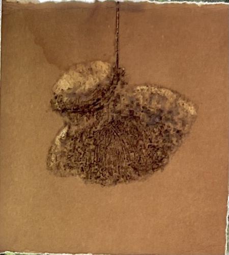 Reste-suspendu - 2023 - Verso