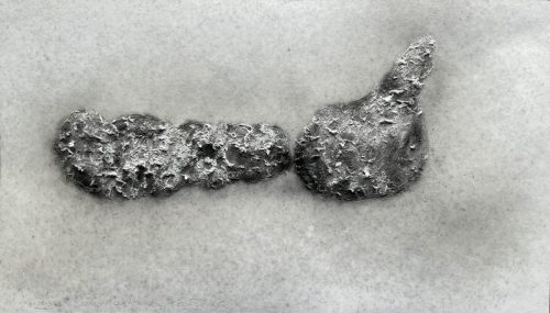 Restes d'automne - 2025 -  Images de vestiges - Vestiges d'images