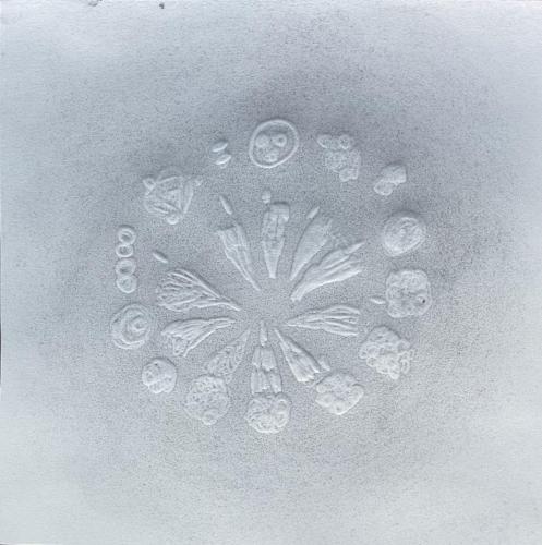 Restes de l'assiette - 2023 - Empreinte et graphite sur papier - 21,9 x 21,9 cm