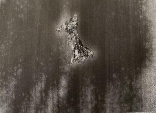 Trognon - 2023 - papier gratté et arraché huiles - 28,9 x 38,1 cm - Recto