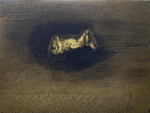 Trognon - encre fusain et huile de vidange sur papier Arches - 32,8 x 43,7 cm