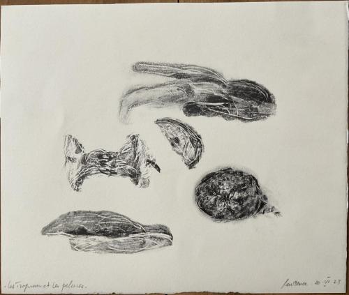 Trognons-et-pelures - Images de vestiges - Vestiges d'images - 2023