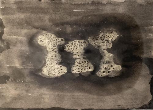 Trois trognons - 2023 - fusain encre et huiles sur papier - 25,5 x 36 cm