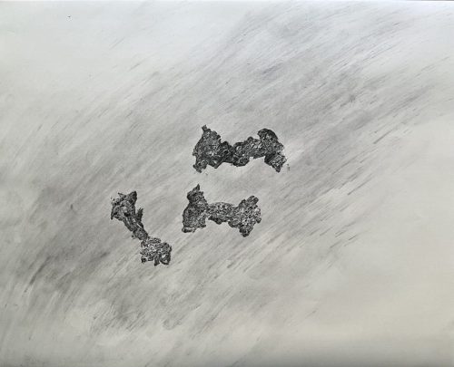 Trois trognons - 2025 - pastel gras et fusain sur papier - 45,2 x 55,8 cm