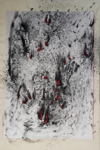 Cerises-ecrasees - Images de vestiges - Vestiges d'images - 2022