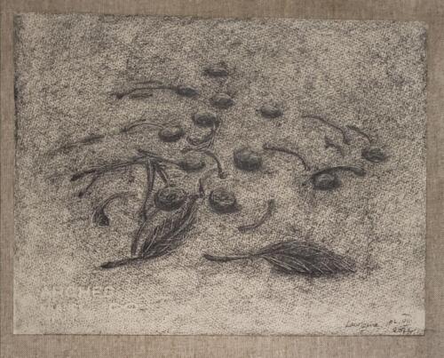 Noyaux-cerises-2 - 2021