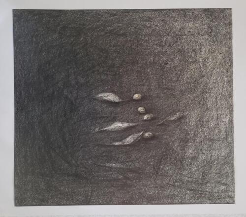 Noyaux-cerises - 2021