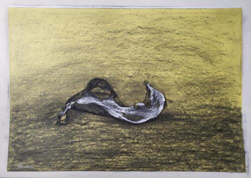 Peau-de-banane-fusain-2 - Images de vestiges - Vestiges d'images - 2022