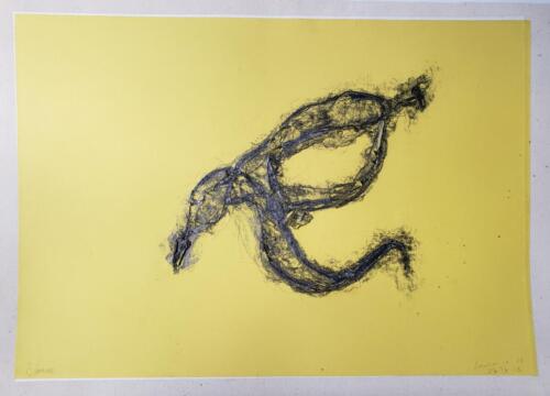 Peau-de-banane - Images de vestiges - Vestiges d'images - 2022