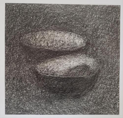 Peaux-d-avocat-et-noyau-1 - 2021