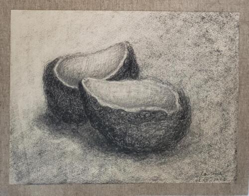 Peaux-d-avocat-et-noyau-2 - 2021