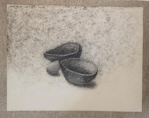 Peaux-d-avocat-et-noyau-3 - 2021