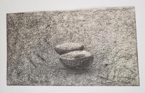 Peaux-d-avocat-et-noyau-4 - 2021